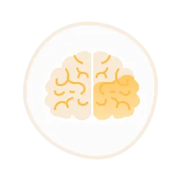 Brain development after three weeks